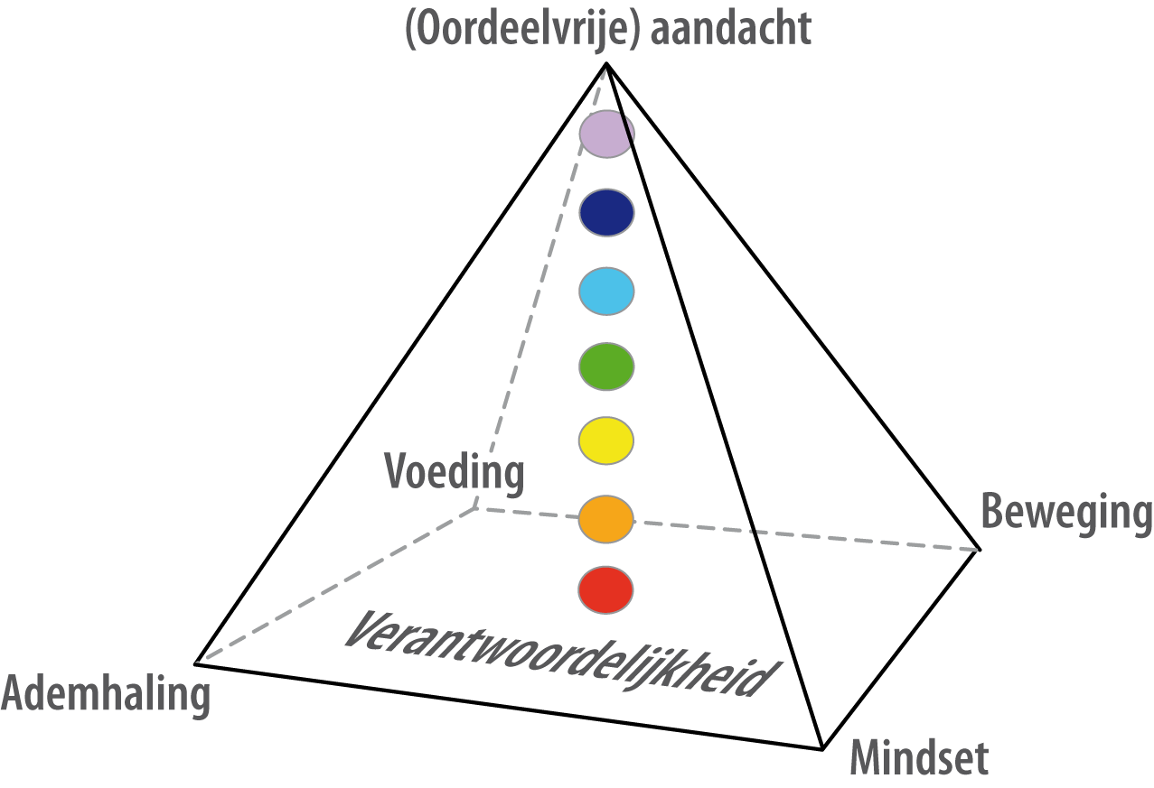 piramide van inzicht